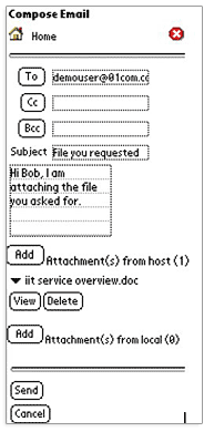 Wireless Email Software