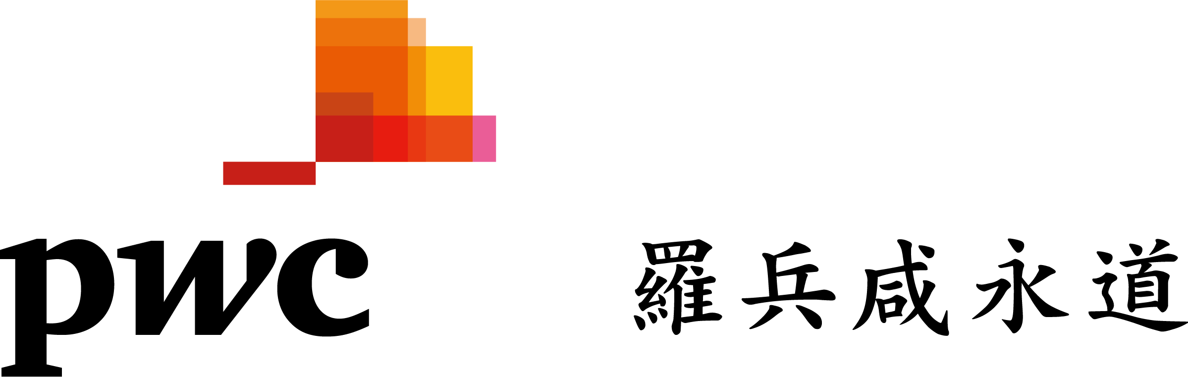 Partner logo